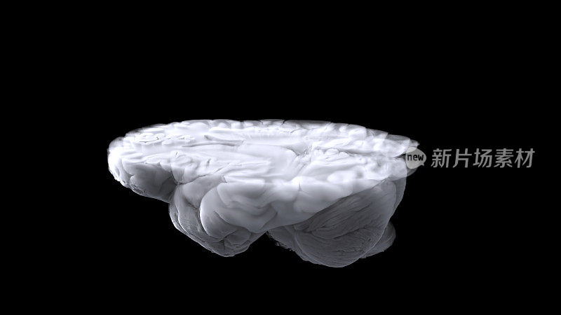 利用MTR和断层扫描技术，对人类大脑进行数字研究的三维可视化。基于MRI数据的大脑三维模型(MRI of the brain)。